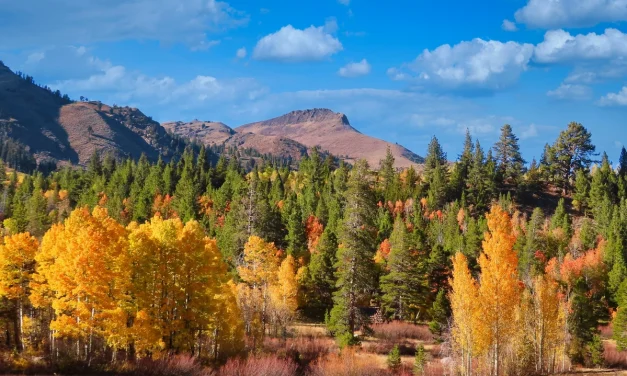 Exploring the Sierra Nevada: Trails, Events, and History