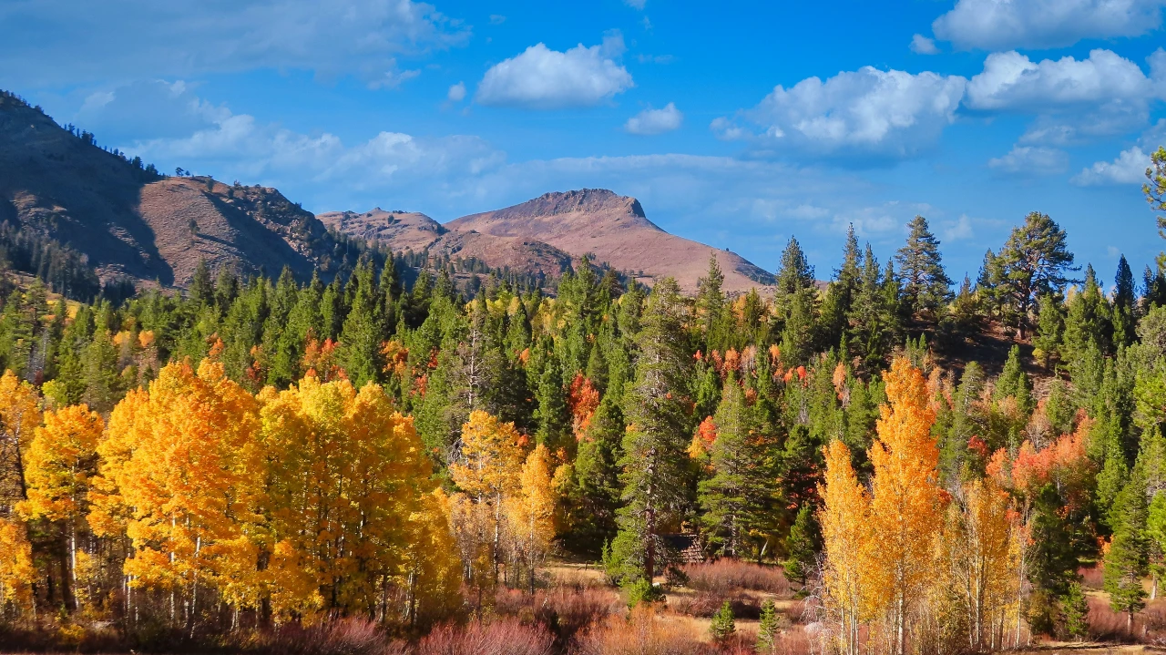 Fall colors sierra