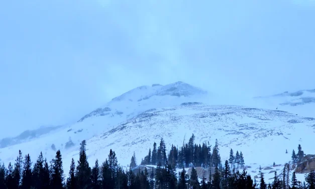 Watching the Sierra Win from Afar