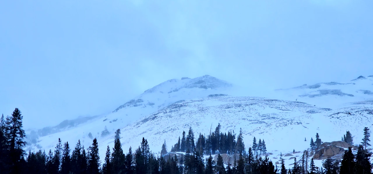 Watching the Sierra Win from Afar