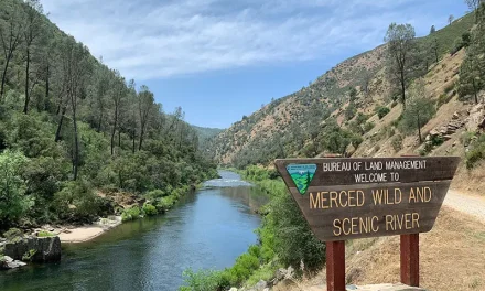 What Tribal Stewardship Means for the South Fork Merced River’s Future