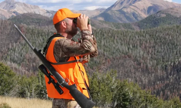 Top Tips for Hunting in the Sierra Nevada
