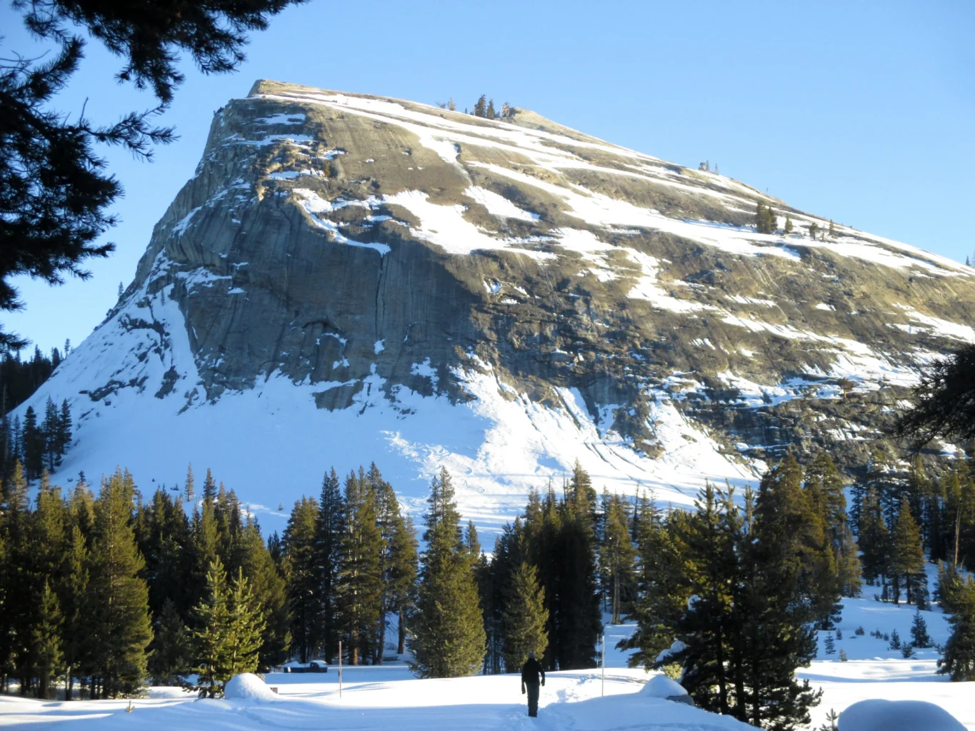 Lembert Dome in snow and lone cross country skier