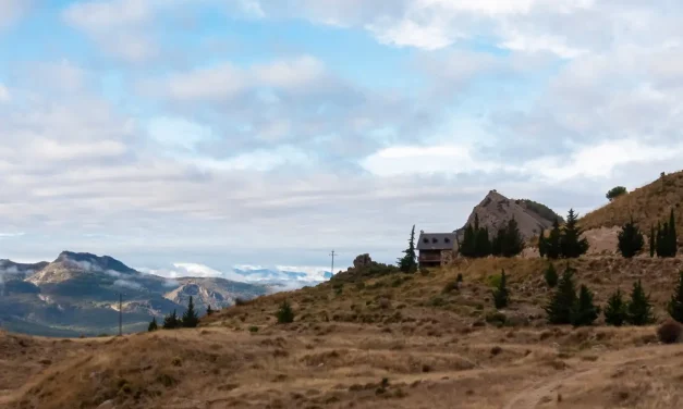 What To Know Before Building a Cabin in the Sierra