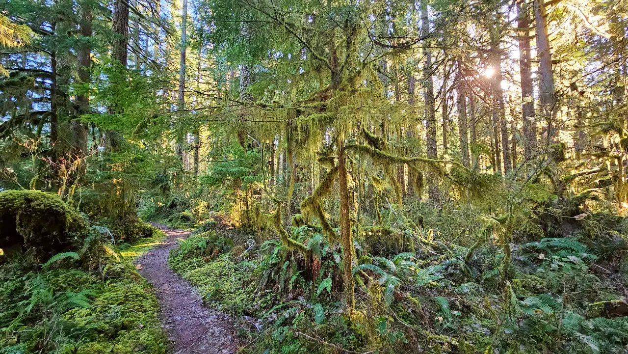 Sauk Trail PNW
