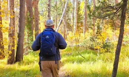Trail Tested Gear: Gregory Arrio 22 Plus Size Daypack