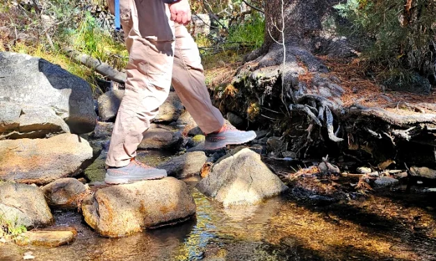 FORM Moldable Insoles Review: Support That Translates From Trail to Everyday Miles