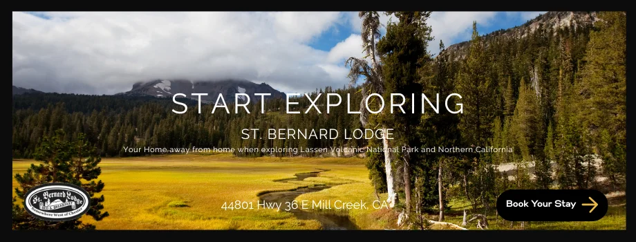 Lassen Volcanic meadow st bernard ad