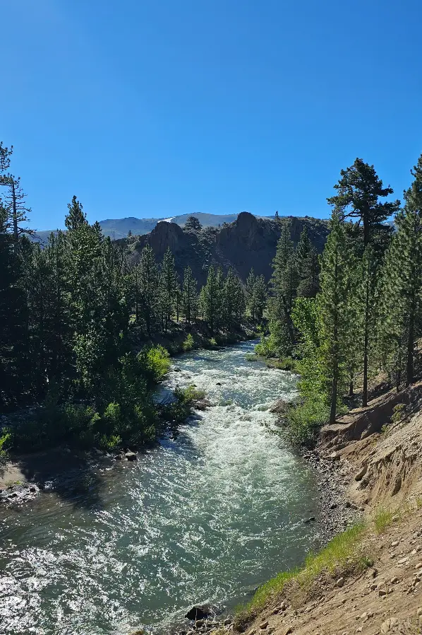 Walker River at start of Sonora Pass