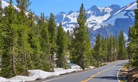Best Stops on Sonora Pass (West to East Drive Guide)