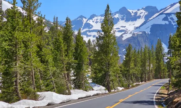 Best Stops on Sonora Pass (West to East Drive Guide)