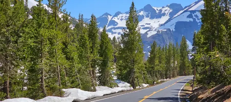 sonora pass snow road open