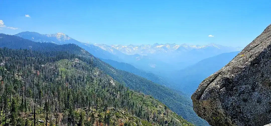 Moro rock